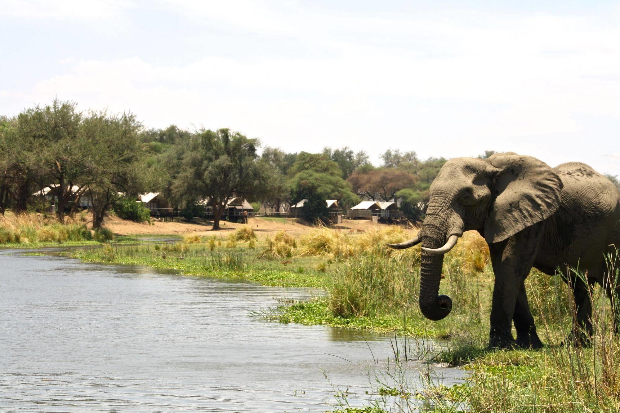 Anabezi Camp Hotell Jeki Exteriör bild